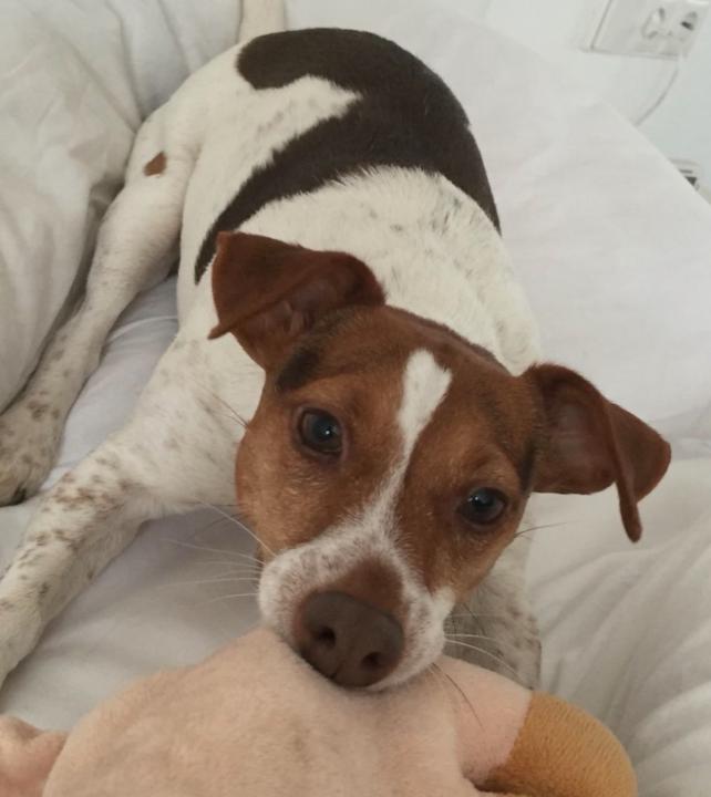 Elena Alonzo Grossmann