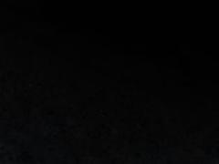 Amon Solomon Asmerom