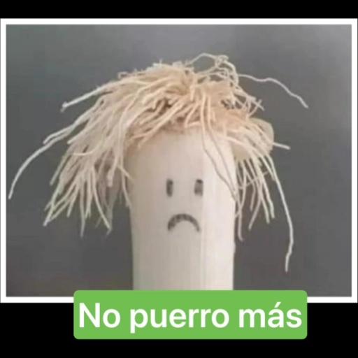 Monse Lopez