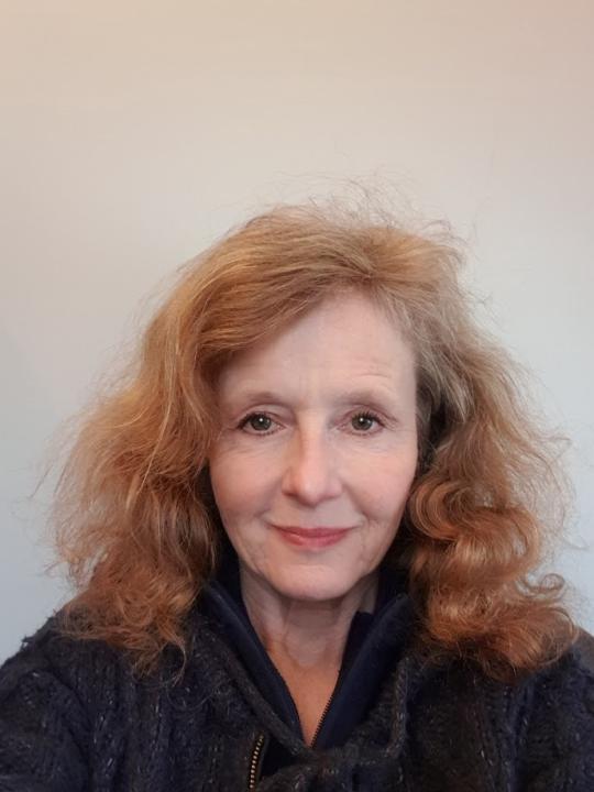 Sue Holness