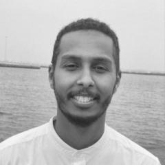 Ayman Ali