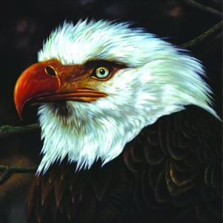 Jose Maria Parra Salgado