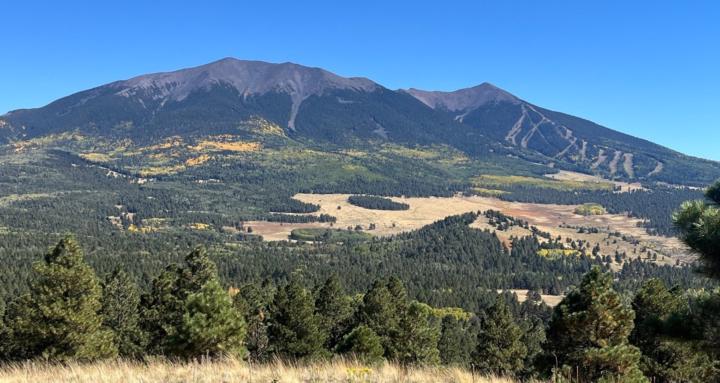 Hunting With J for Beginners 