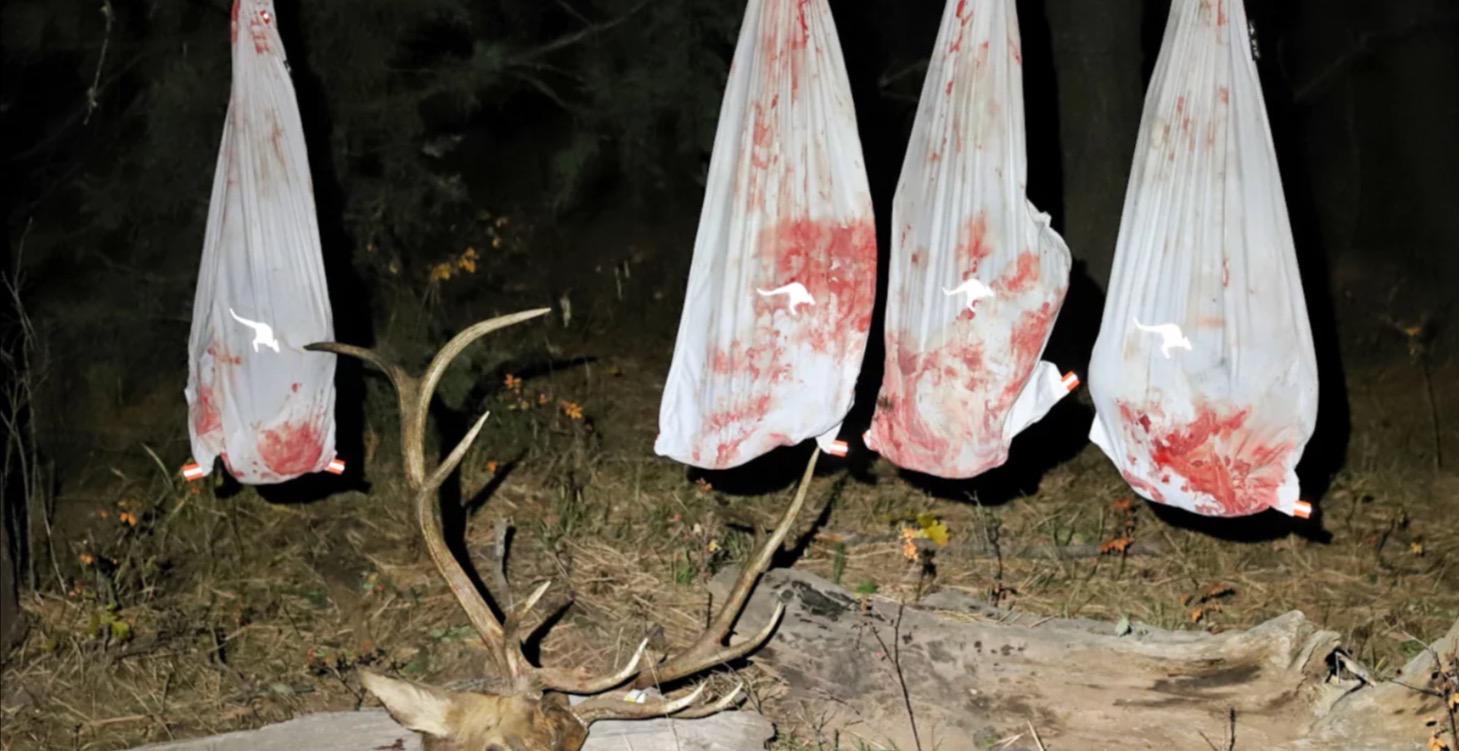 Real Hunting Stories