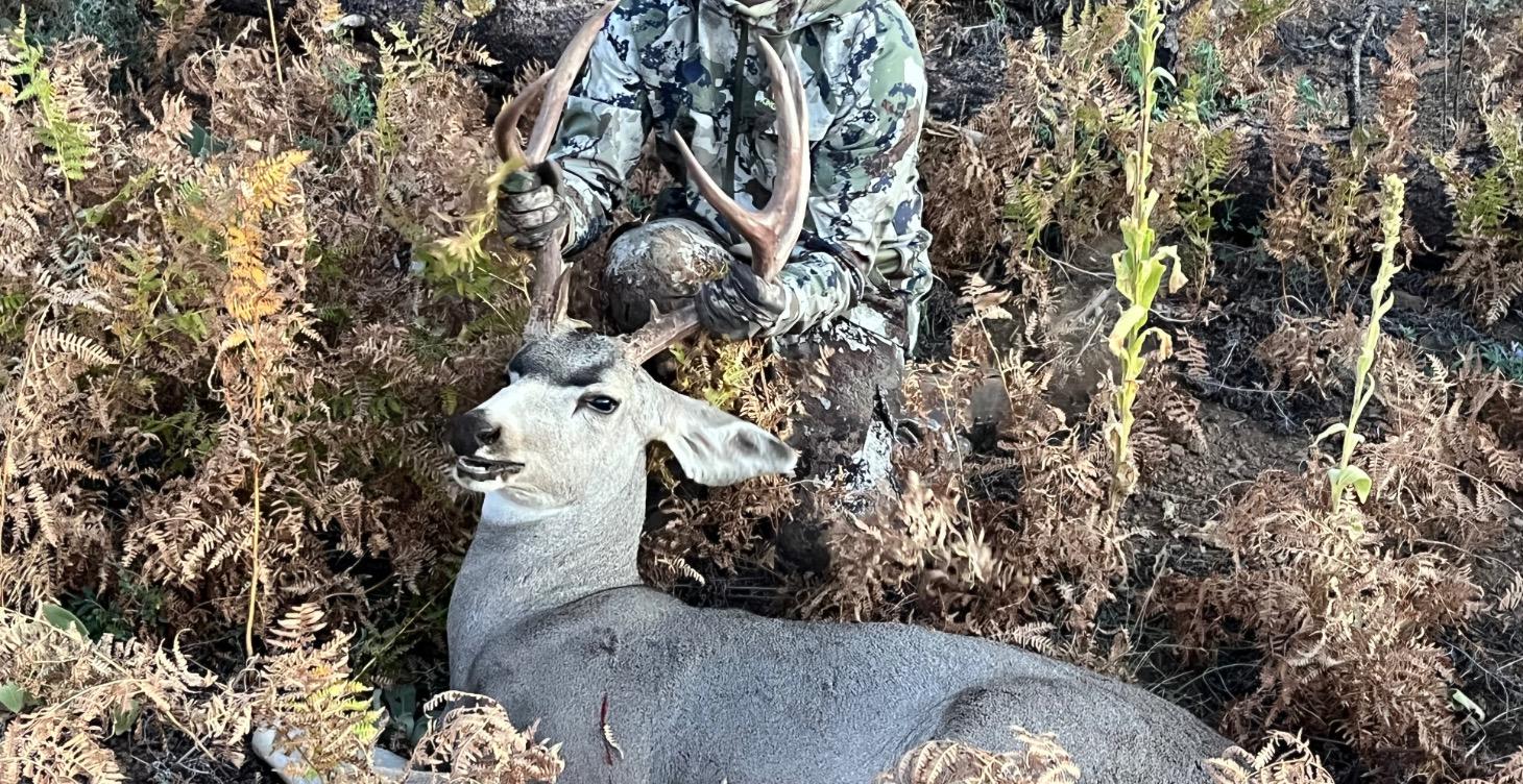 Module 9: After the Shot