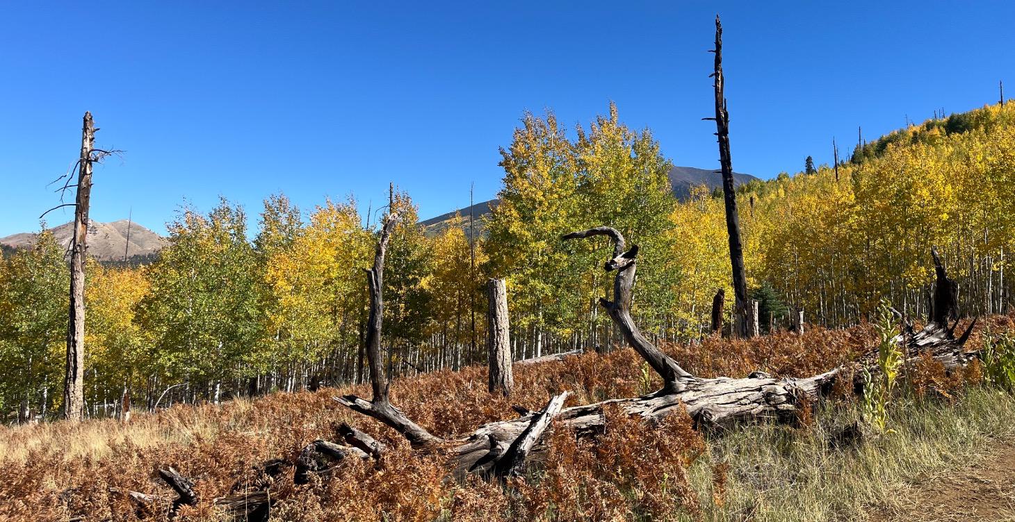 Module 8: In-the-Field Skills