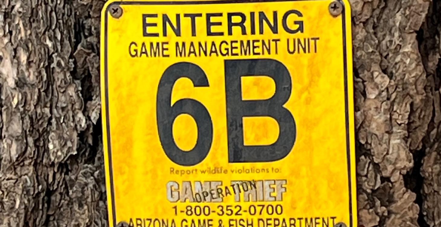 Module 7: Scouting & Preparing