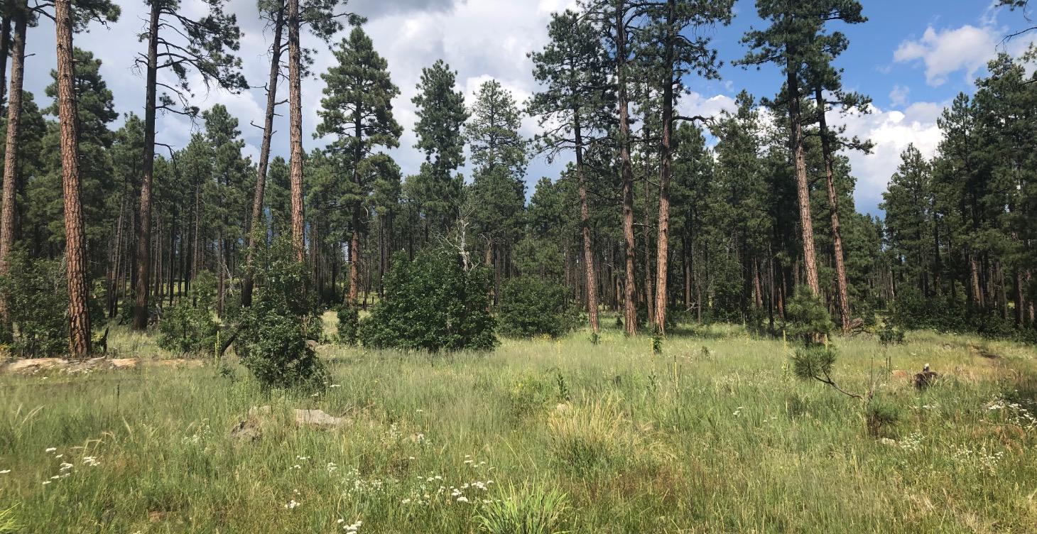 Module 10: Ethics & Responsibility