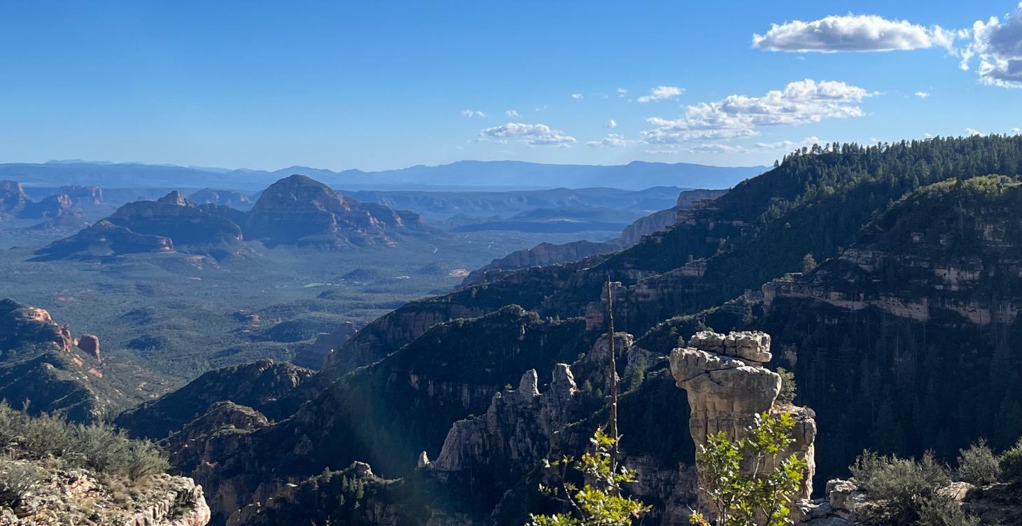 Module 3: Why Hunting?