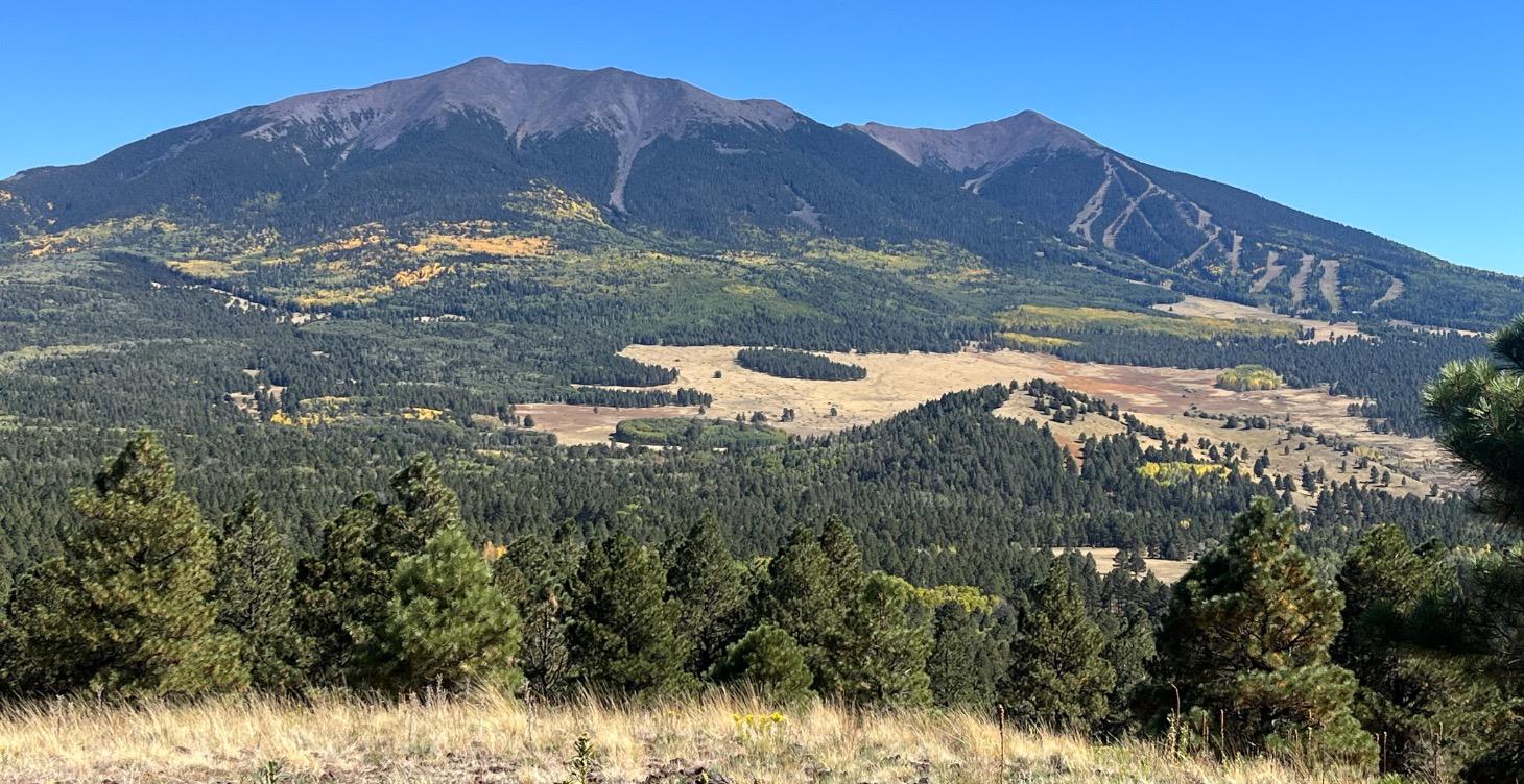 Module 11: Next Steps