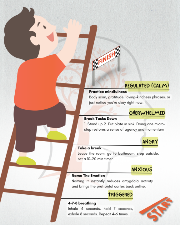 Emotional Regulation Ladder