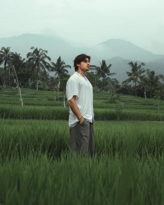 Louis Hallaert-Theys