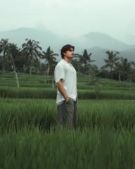 Louis Hallaert-Theys