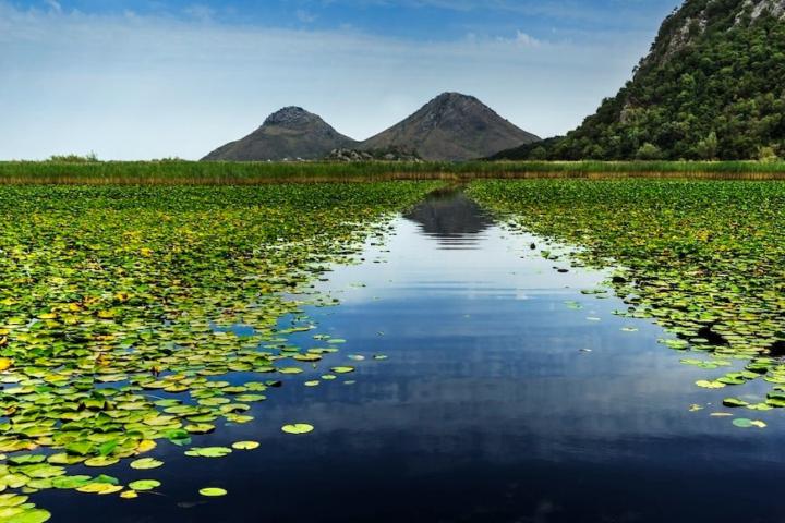 ברוך גרוסמן