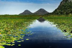 ברוך גרוסמן