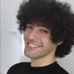 Joao Pedro Magalhães Gomes