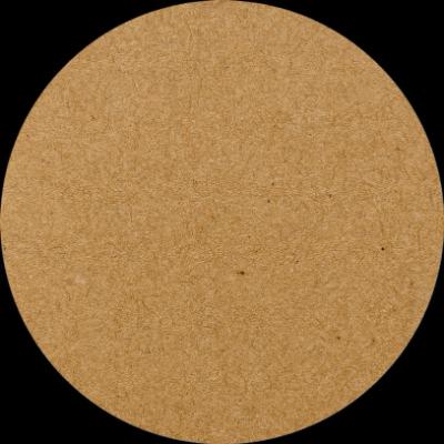 Jesus Cornejo Burgos