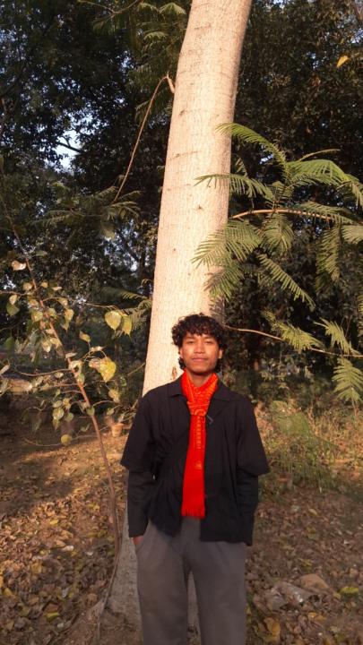 Himanjal Ray