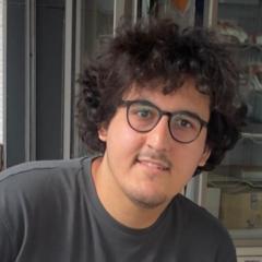 Emirhan Sefa Koşar