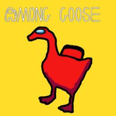 Boring Goose