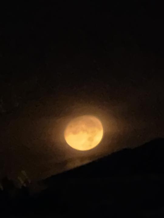 The moon