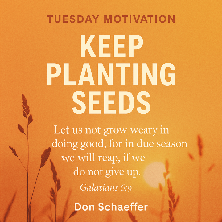 🔥 Keep Planting Seeds 🔥