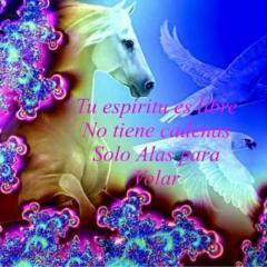 Juan Lacarriere