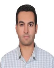 Hamidreza Amin