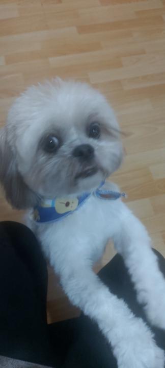 Nelly  Yasmin Tellez Herrera