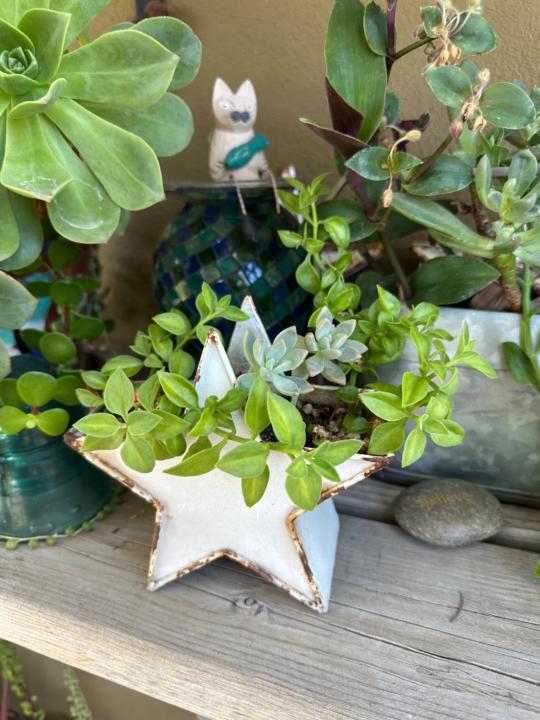 Heather Hartlett-Smith