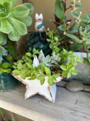 Heather Hartlett-Smith