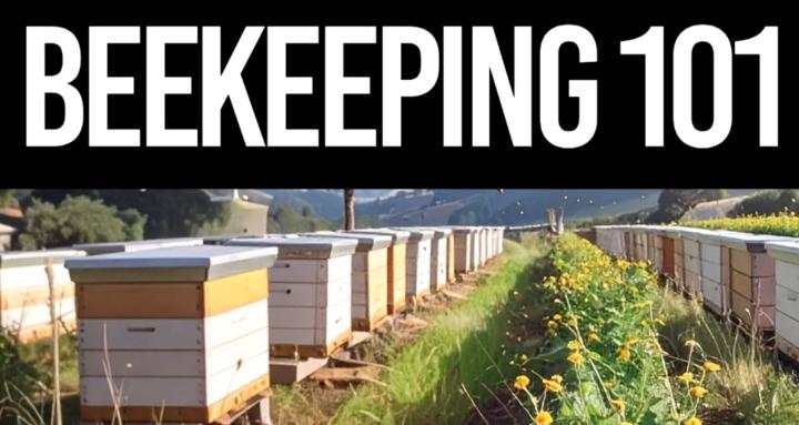 Beekeeping 101