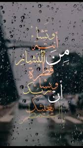 Liela Mohamed