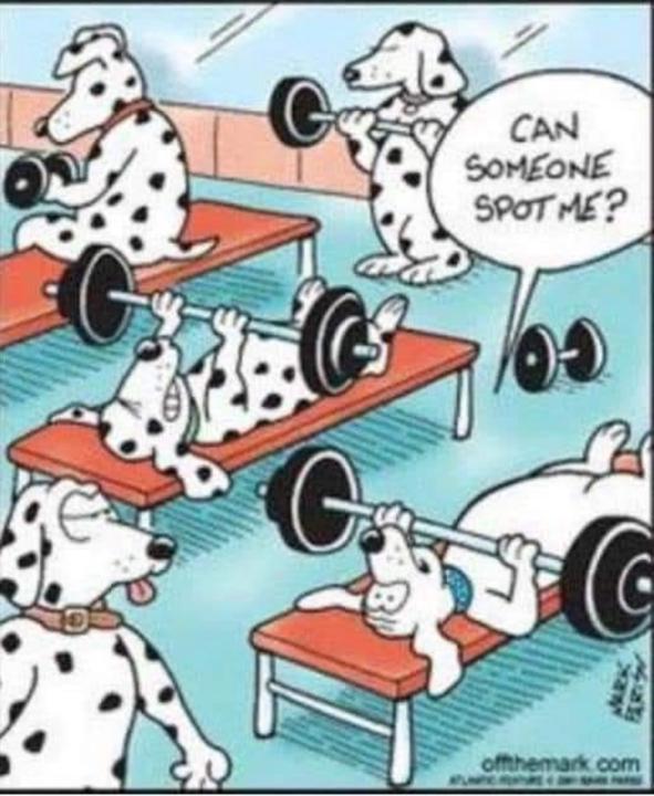 🤣 Fitness humour for the day 