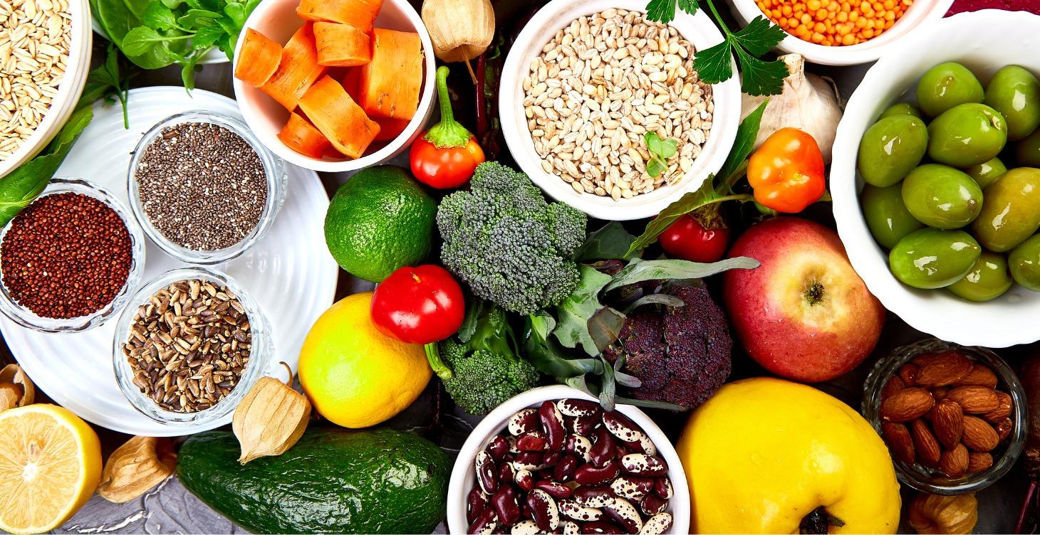 Performance Nutrition Toolkit