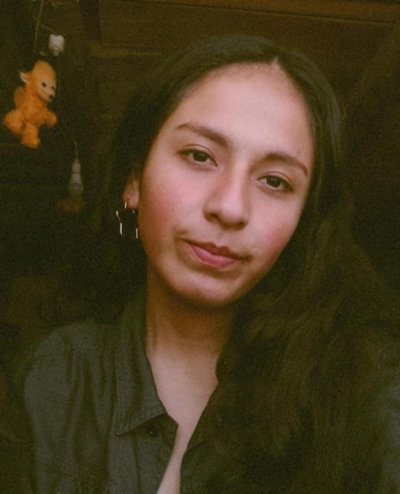 Lorena Perez mamani