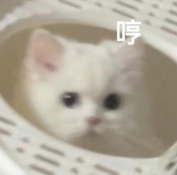 Yu Wen