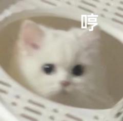 Yu Wen