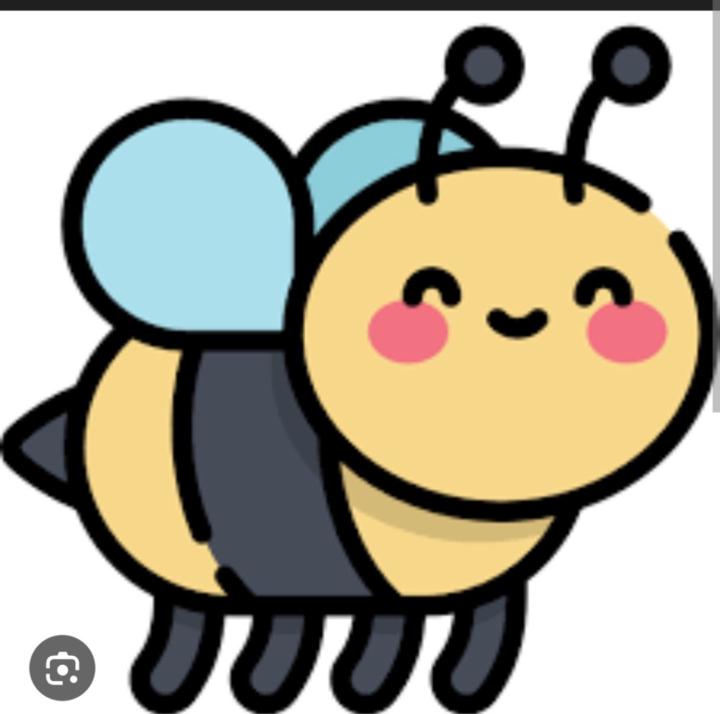 Bee Xohail
