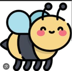 Bee Xohail