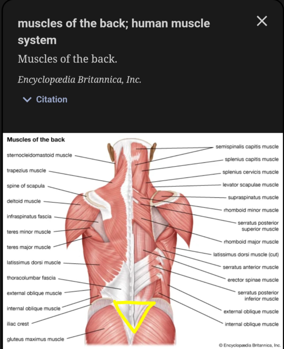 Sacral area is alive!