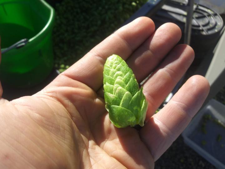 Free Blue sky Hellenga