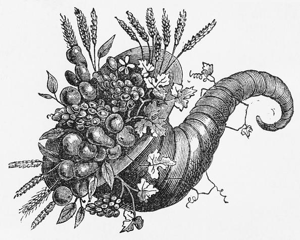 Cornucopia ~ Word of the Day 