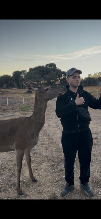 Juan David Adalia Arroyo