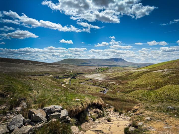 Scott Thompson