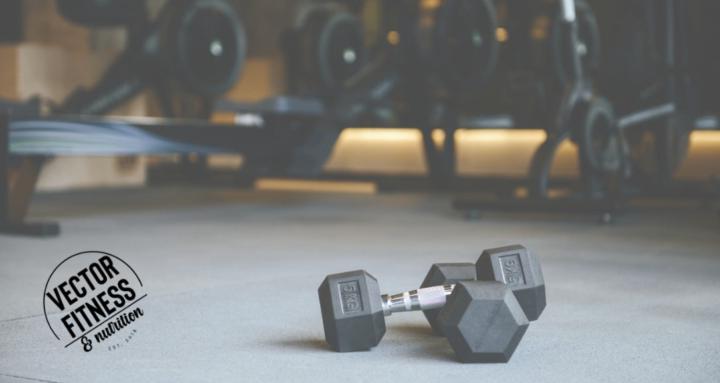 Vector Fitness & Nutrition