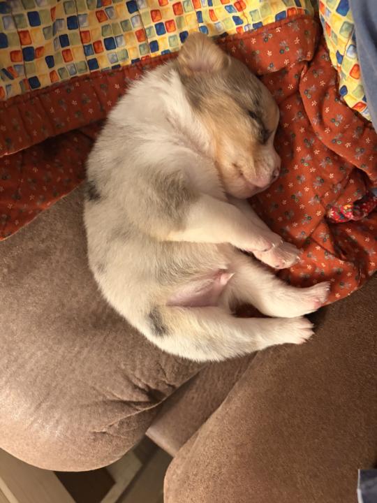 A little MIA!!
