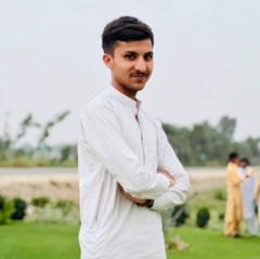 Muhammad Sharjeel Abbas
