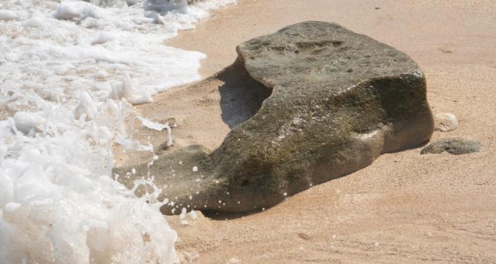 Redovisningskonsulter