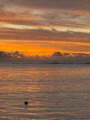 Ashwan Luckheenarain